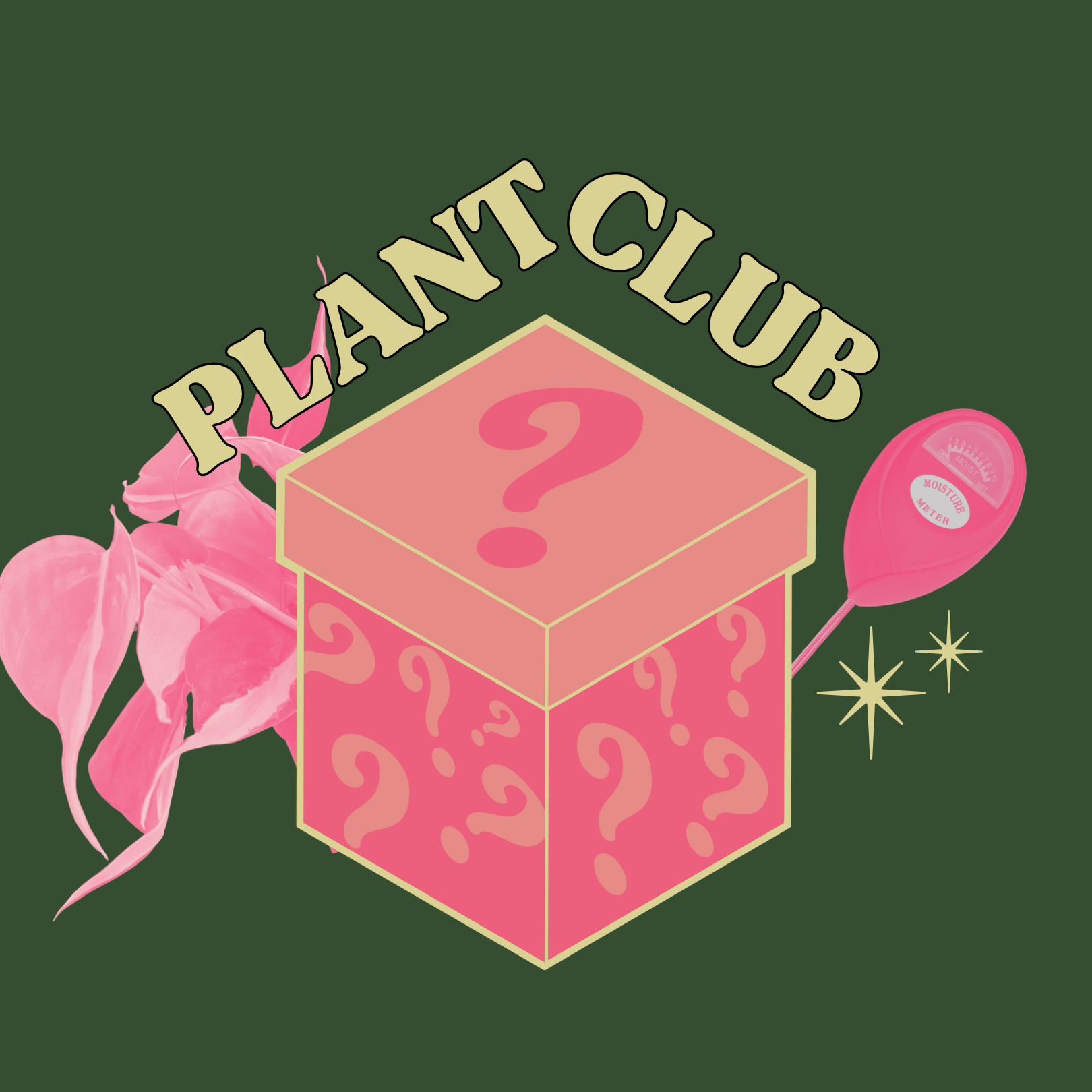 Monthly Subscription | Earth First Plant Co.